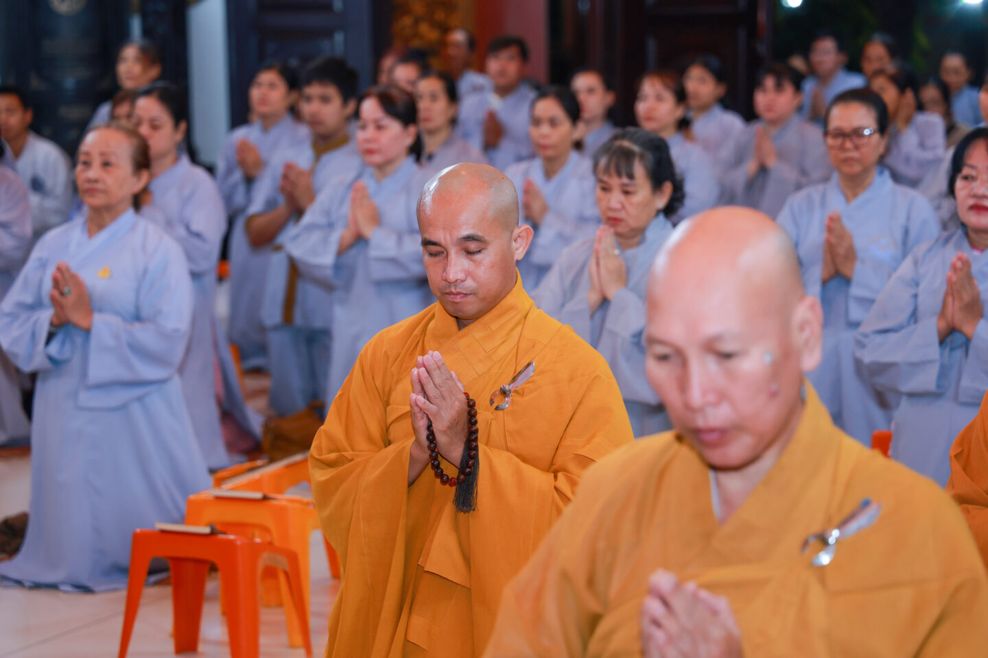 sam hoi 1411 28