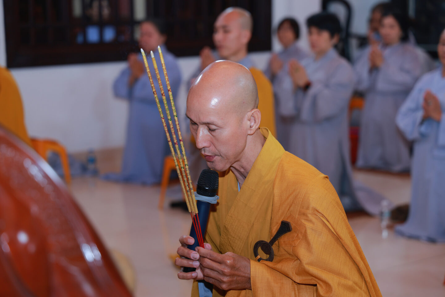 sam hoi 1411 29