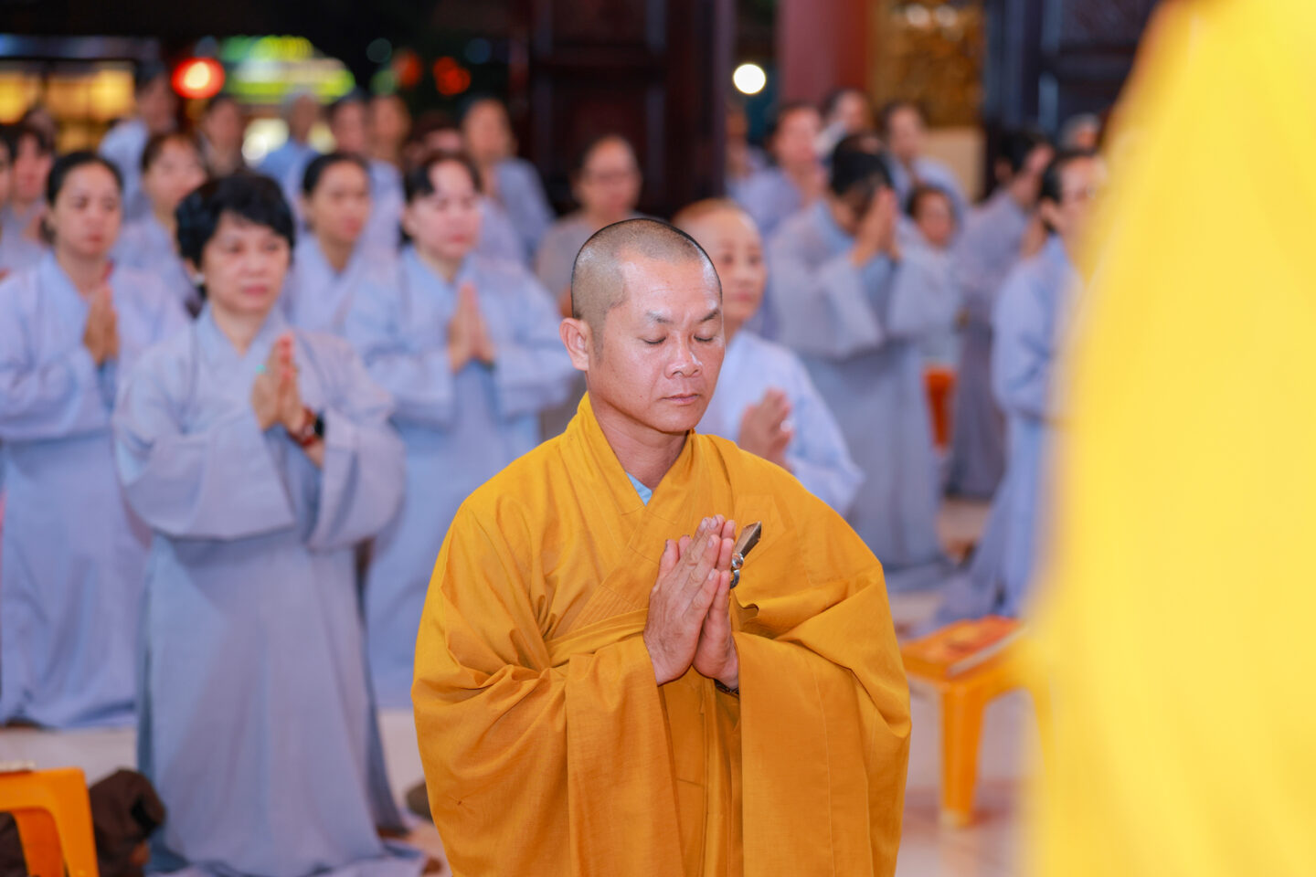 sam hoi 1411 30