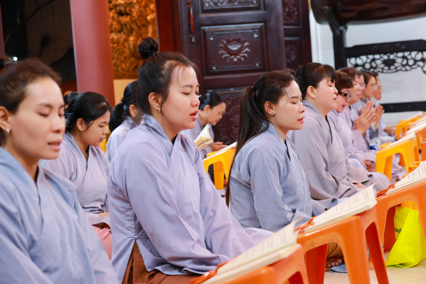 sam hoi 1411 43