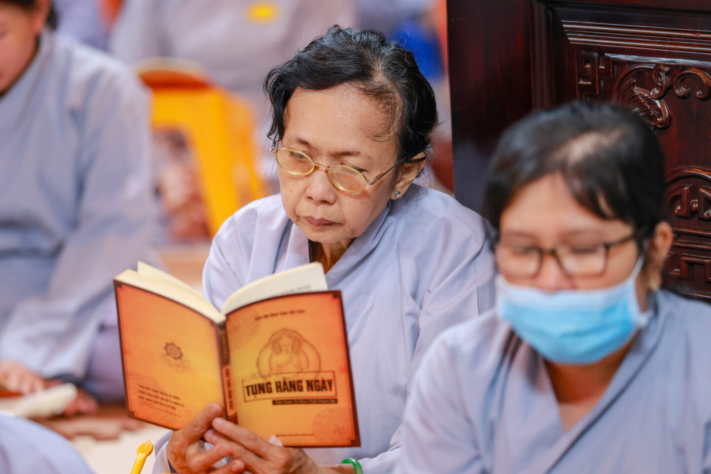 sam hoi 1411 50