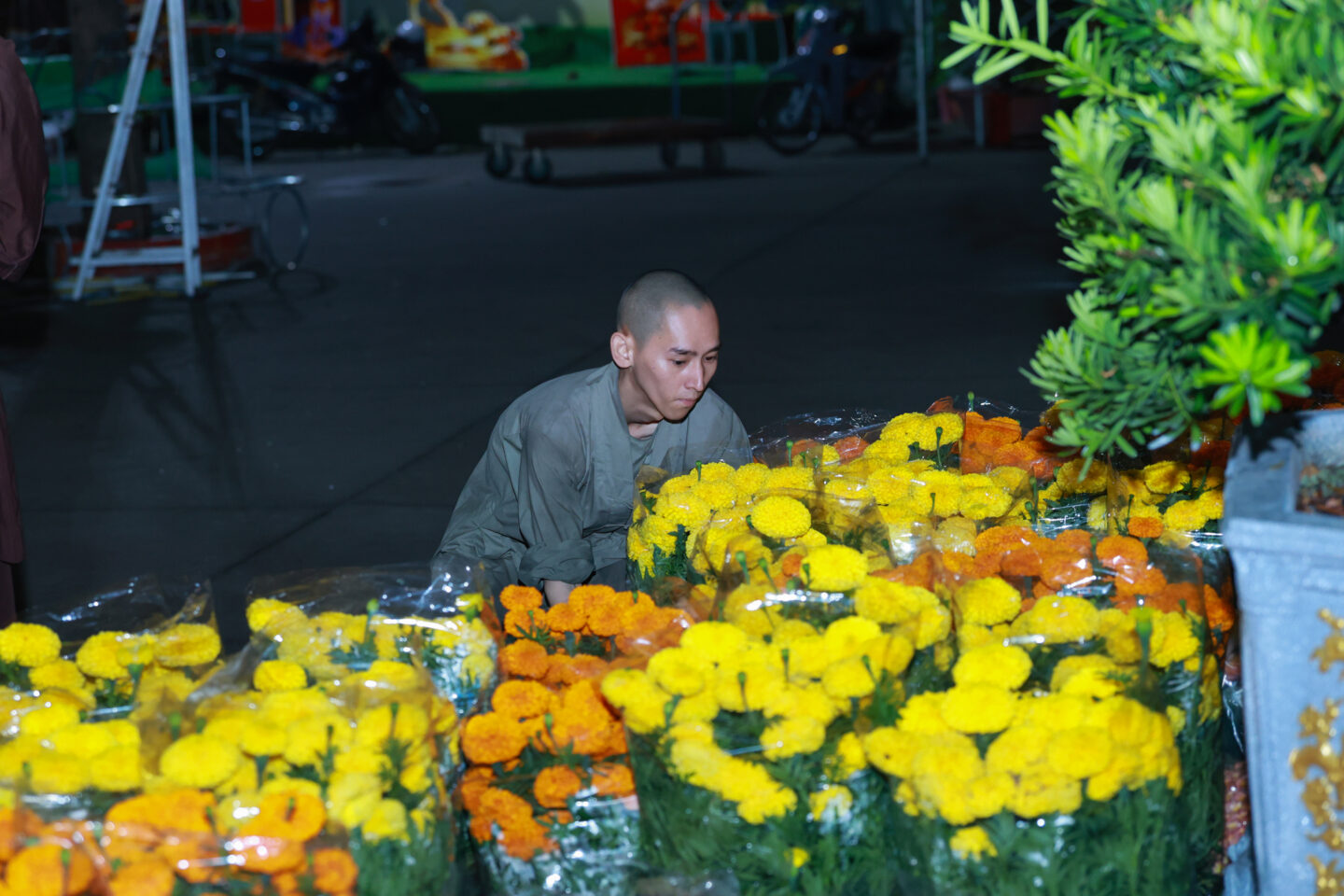 chuan bi tet 2026 027