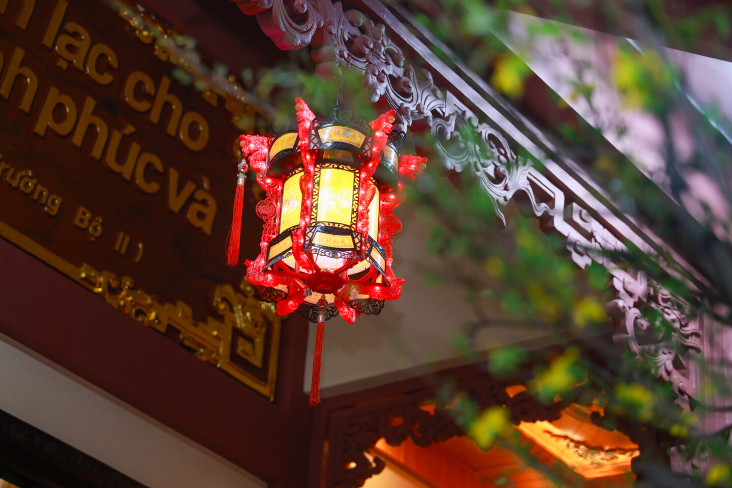 chuan bi tet 2026 064