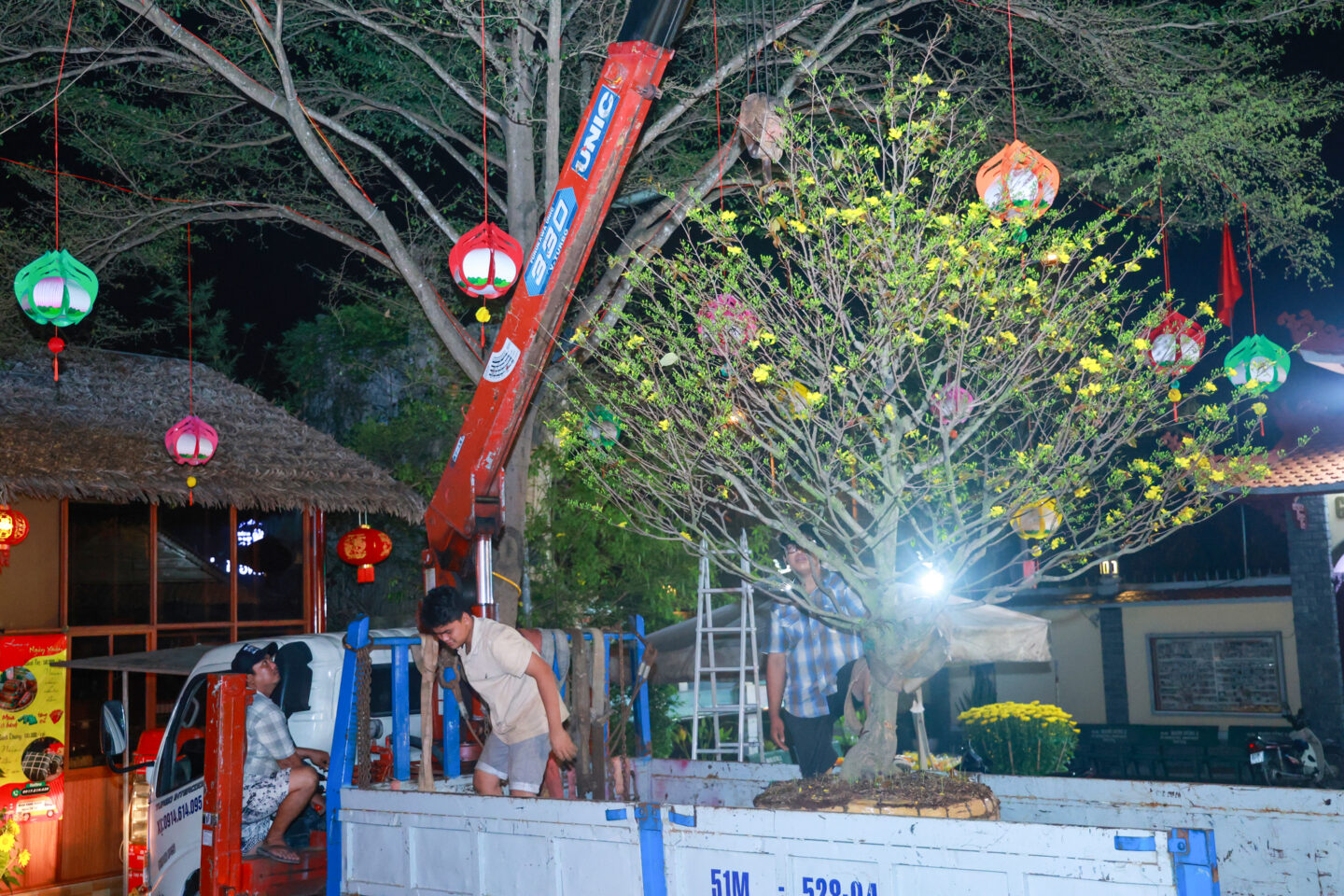 chuan bi tet 2026 065