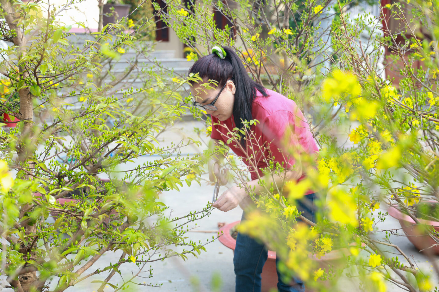 chuan bi tet 2026 070