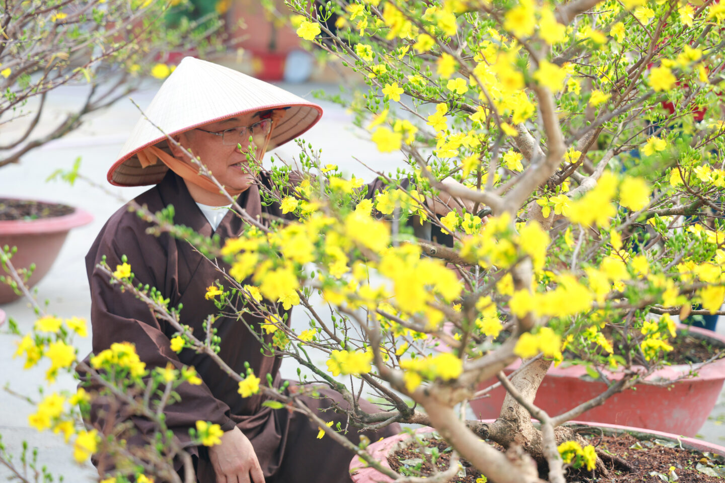 chuan bi tet 2026 071 chuan bi tet 2026 071