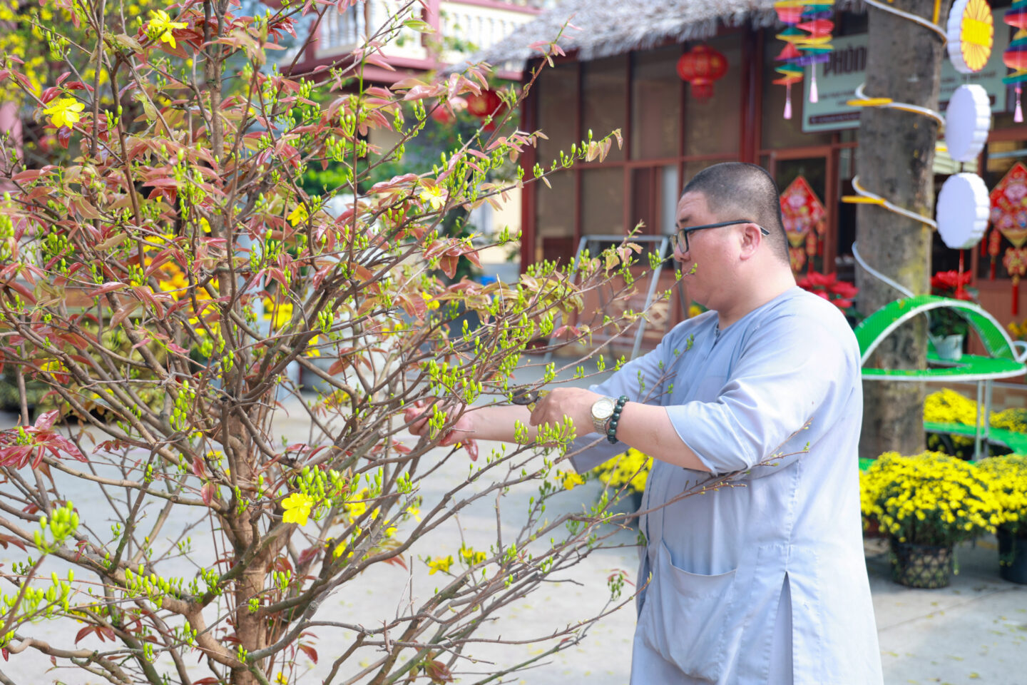chuan bi tet 2026 074