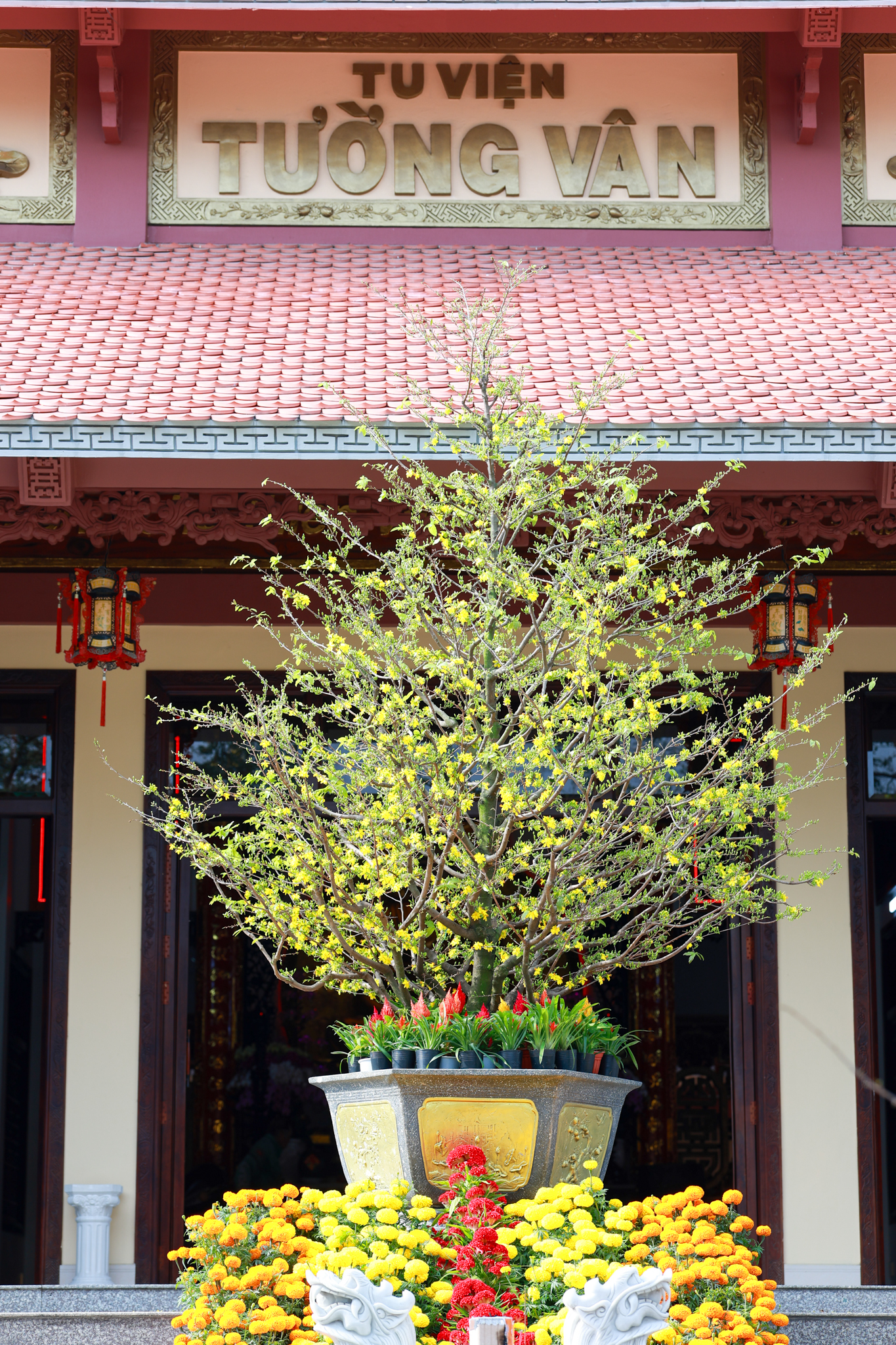 chuan bi tet 2026 081
