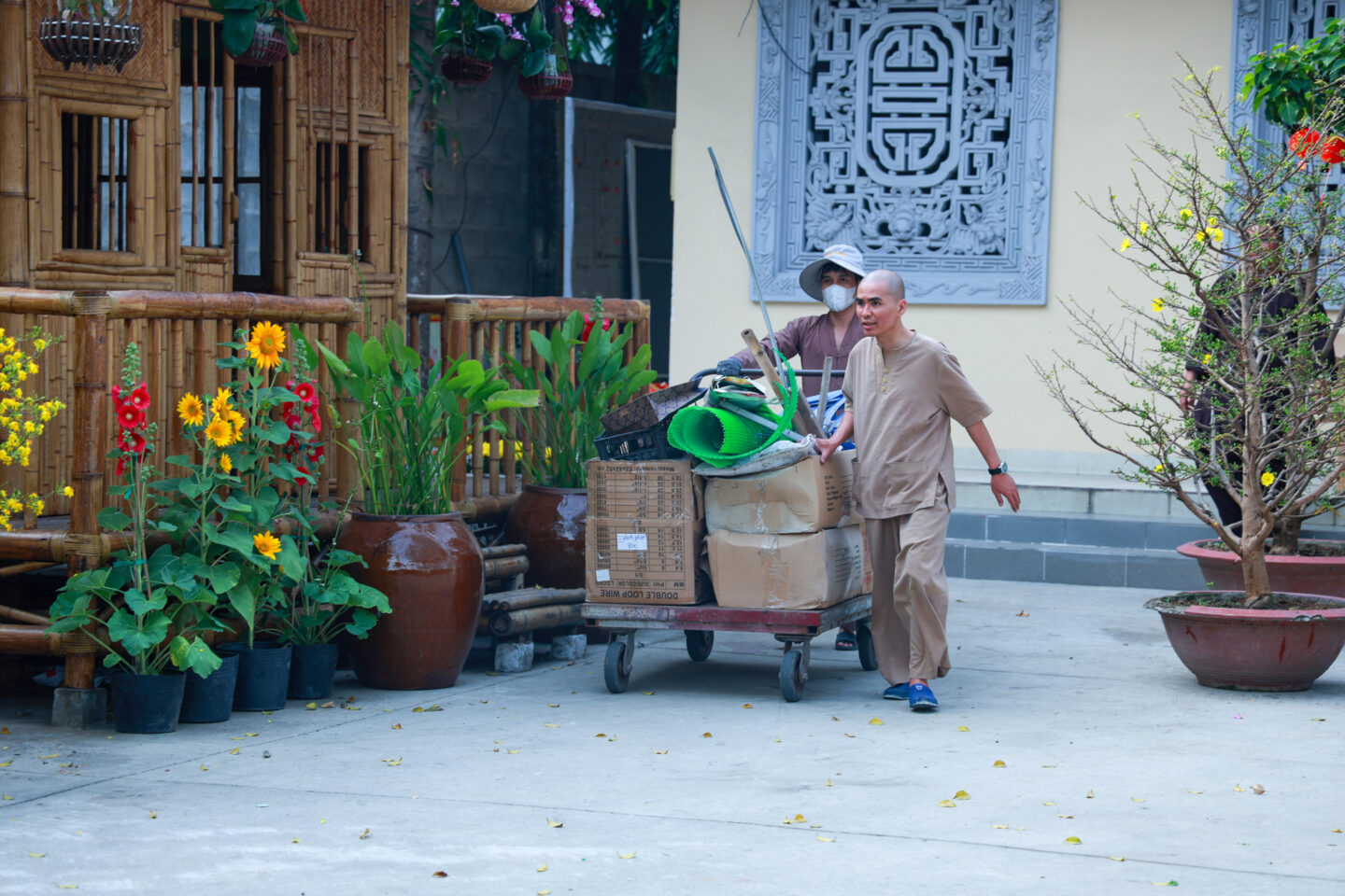 chuan bi tet 2026 088
