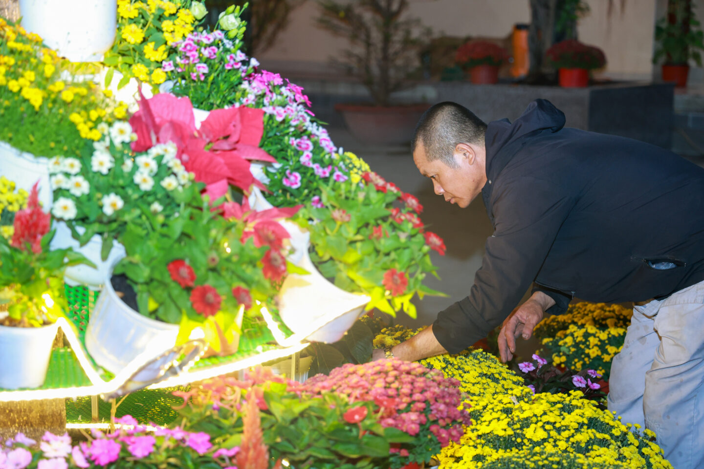 chuan bi tet 2026 110 chuan bi tet 2026 110