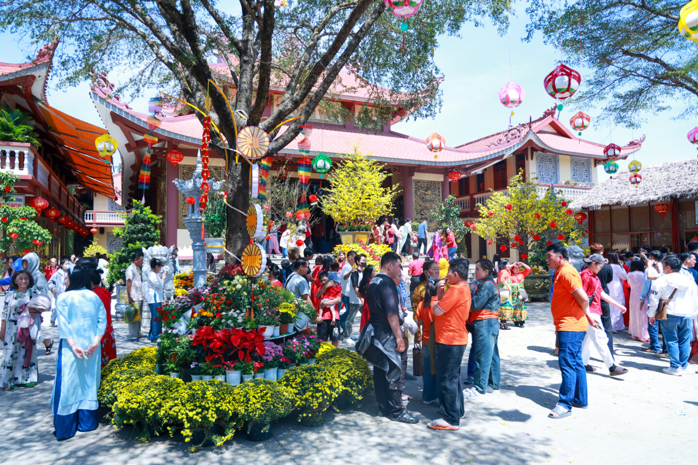 mong 1 tet binh ngo 100