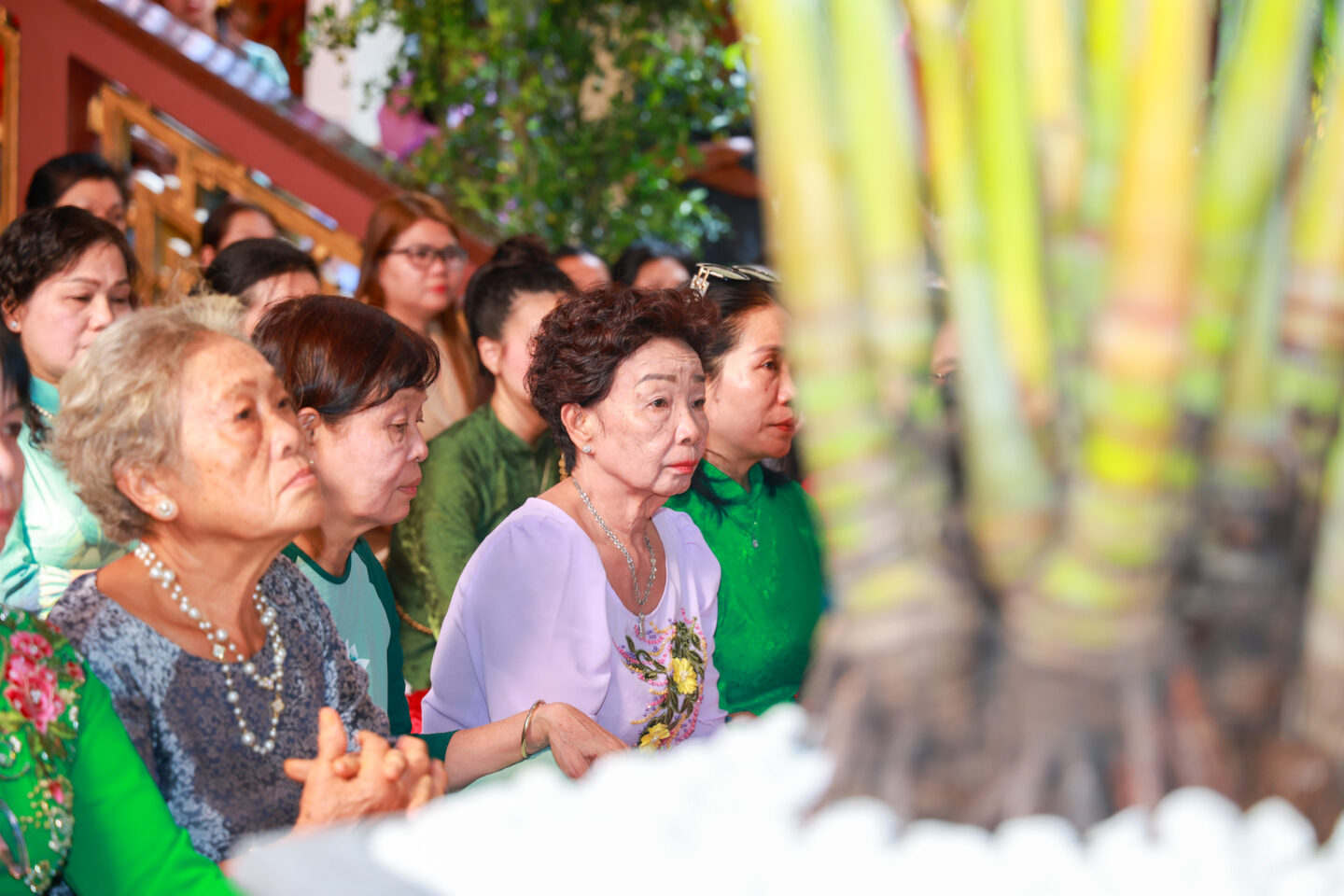 mong 1 tet binh ngo 115