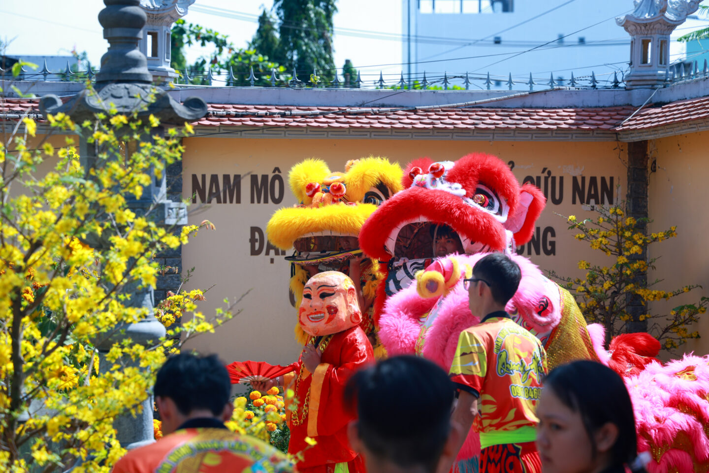 mong 2 den mong 5 binh ngo (20 of 197)