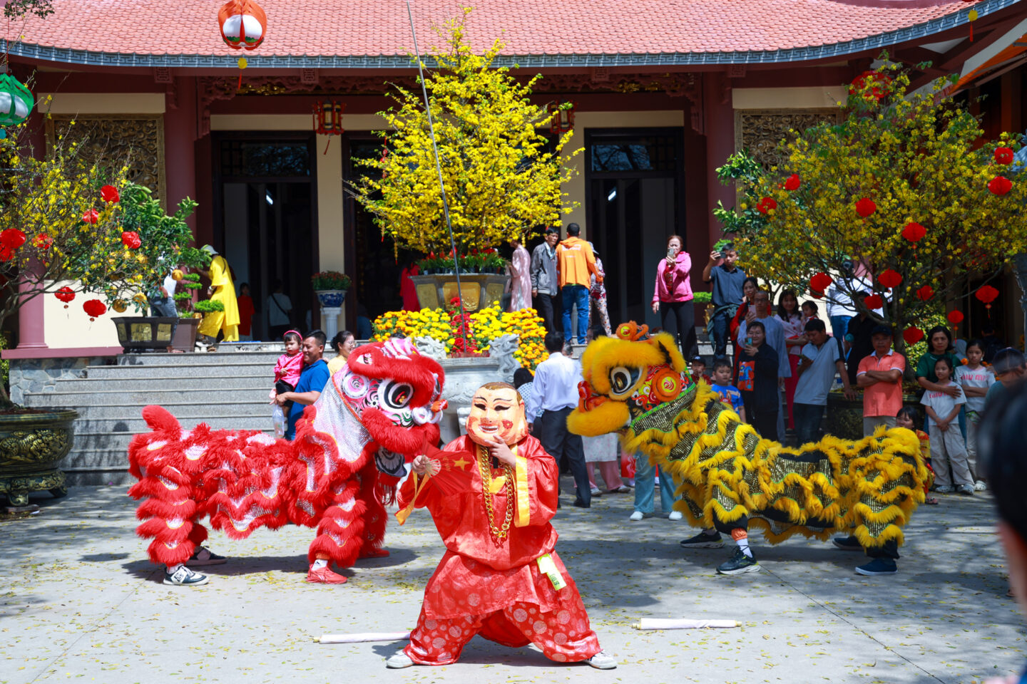 mong 2 den mong 5 binh ngo (32 of 197)
