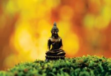 Lý tưởng giải thoát trong nhà Phật Lý tưởng giải thoát trong nhà Phật