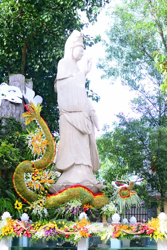 via quan am 2107 1 via quan am 2107 1