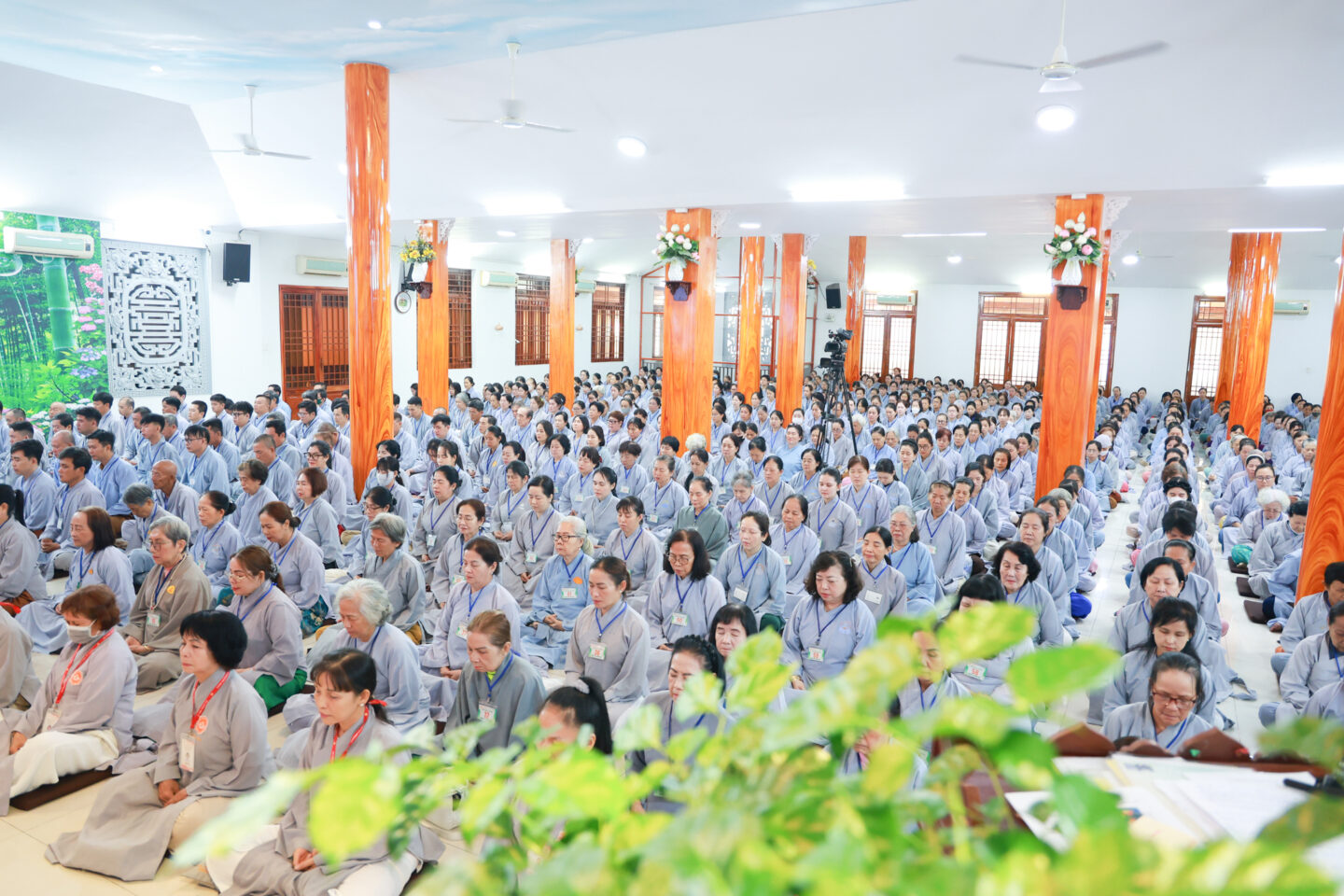 kt 49 web (333 of 225)