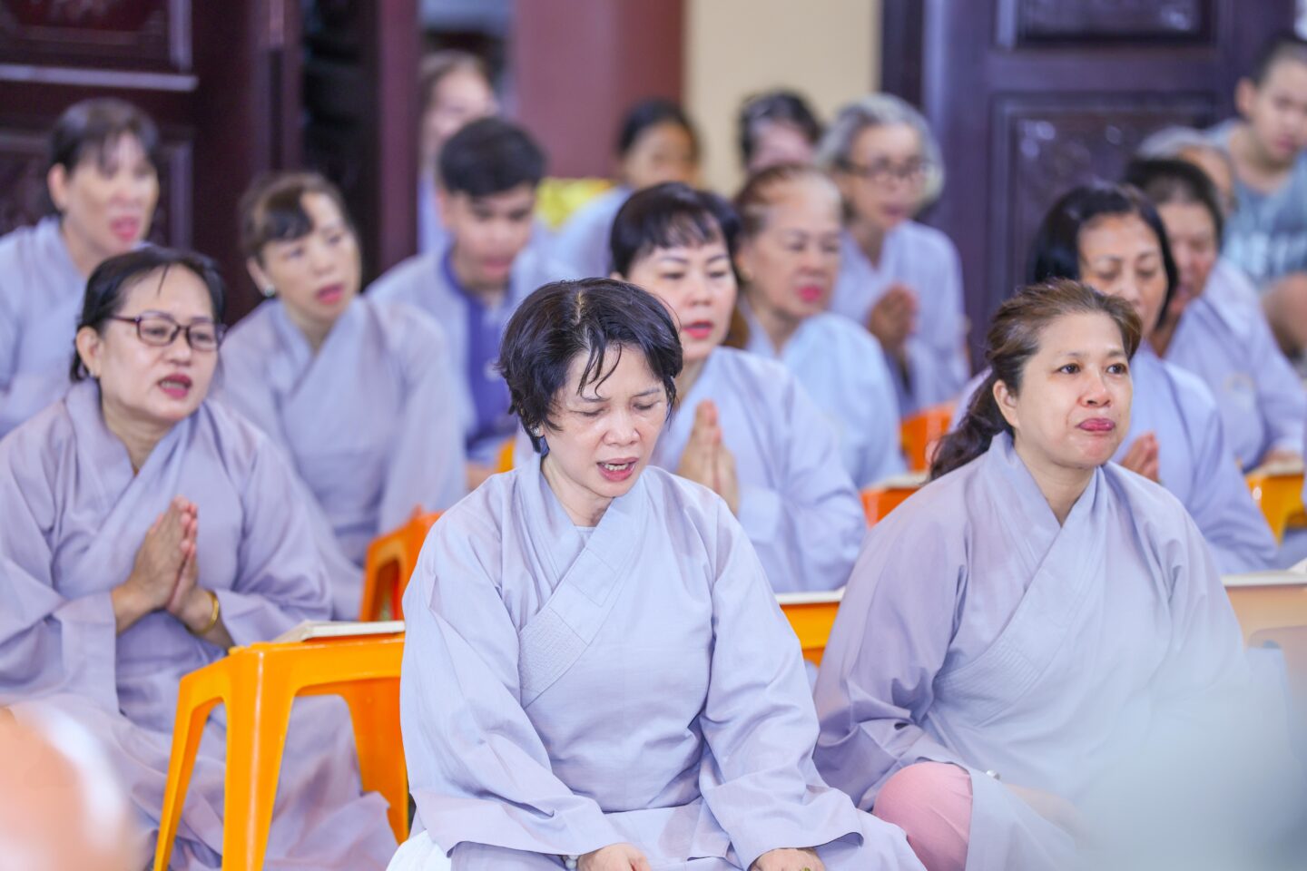 bo tat lan 2 (10 of 59)