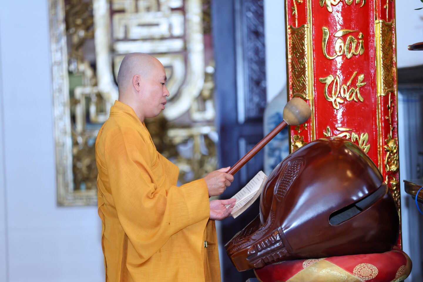 bo tat lan 2 (16 of 59)