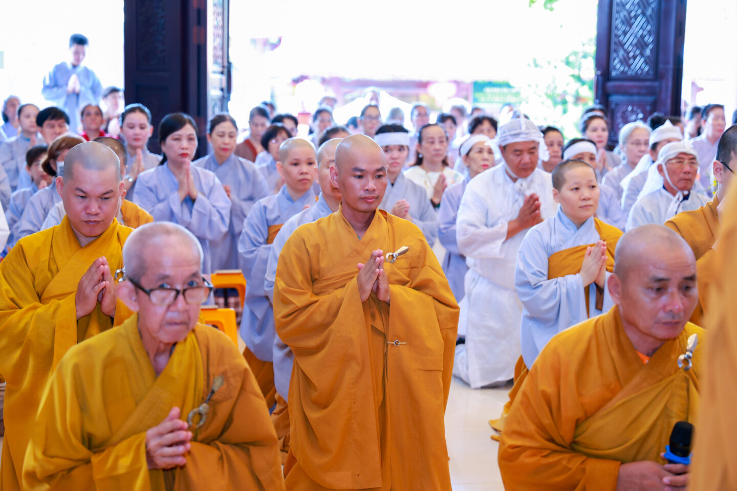 chung thất trai tuần (60 of 185) chung thất trai tuần (60 of 185)