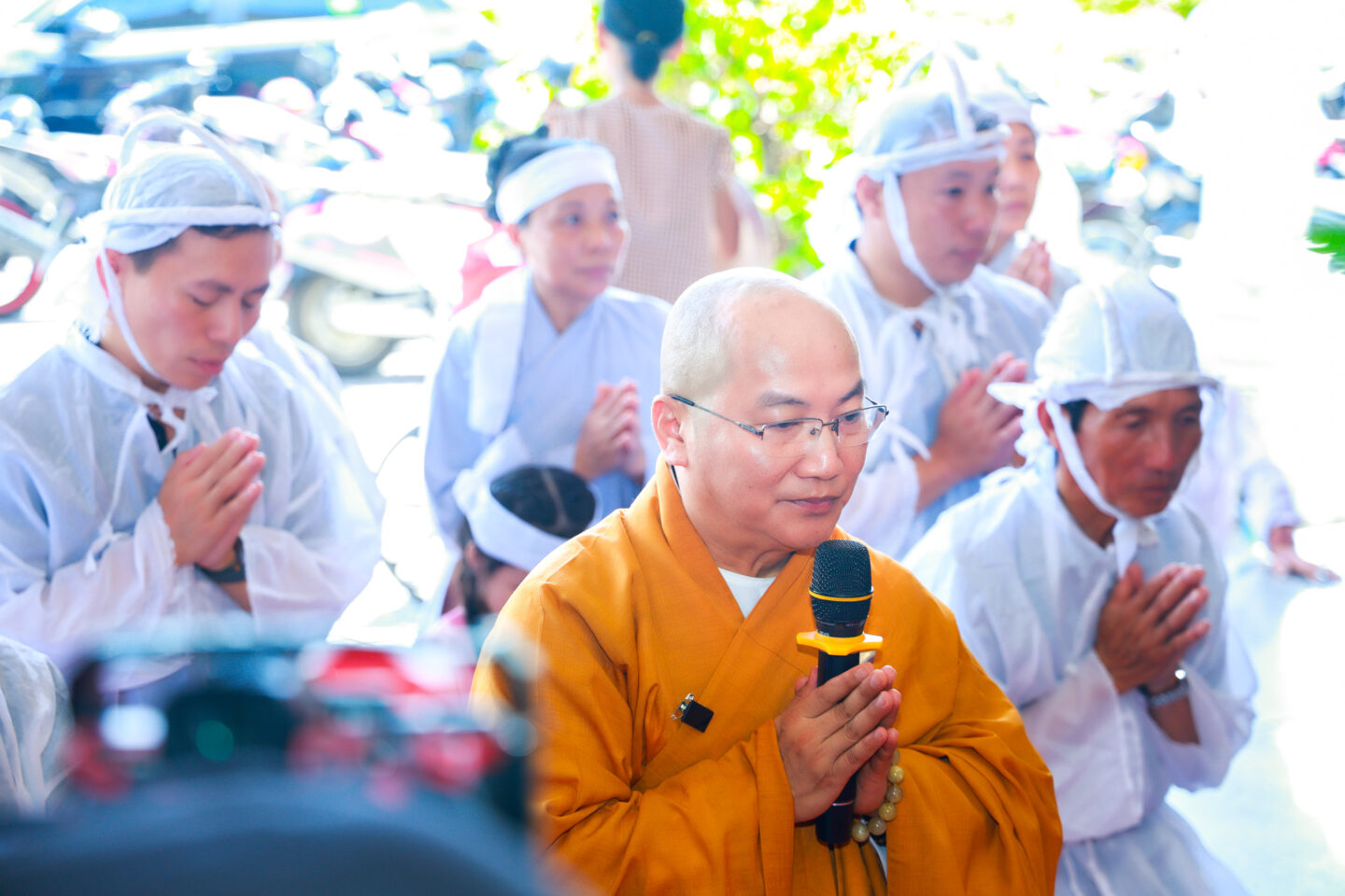 ngũ thất trai tuần (107 of 108) ngũ thất trai tuần (107 of 108)