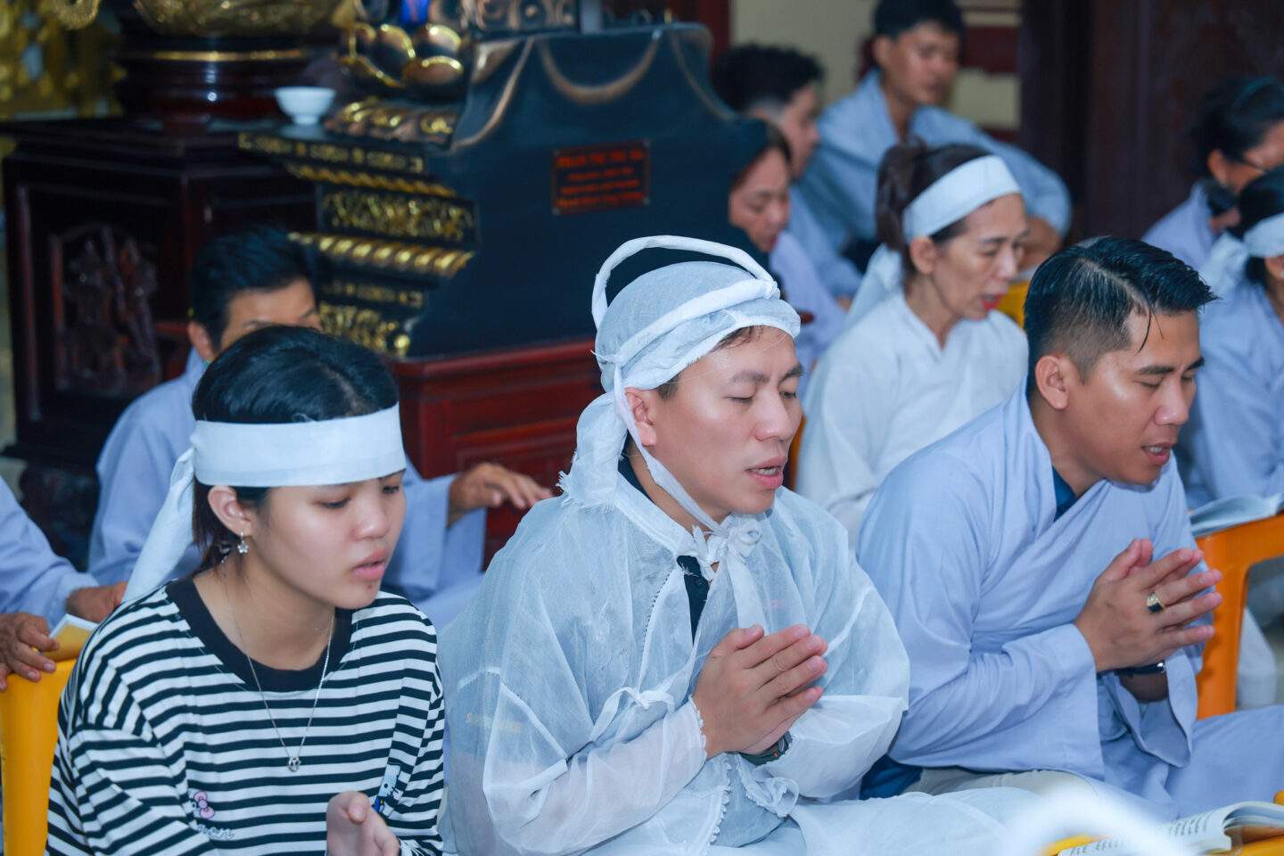 ngũ thất trai tuần (19 of 108) ngũ thất trai tuần (19 of 108)