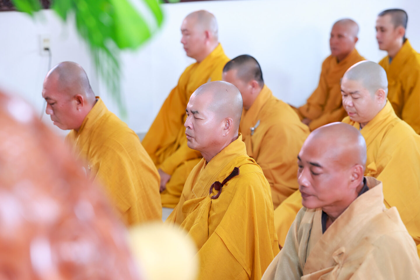 ngũ thất trai tuần (36 of 108)