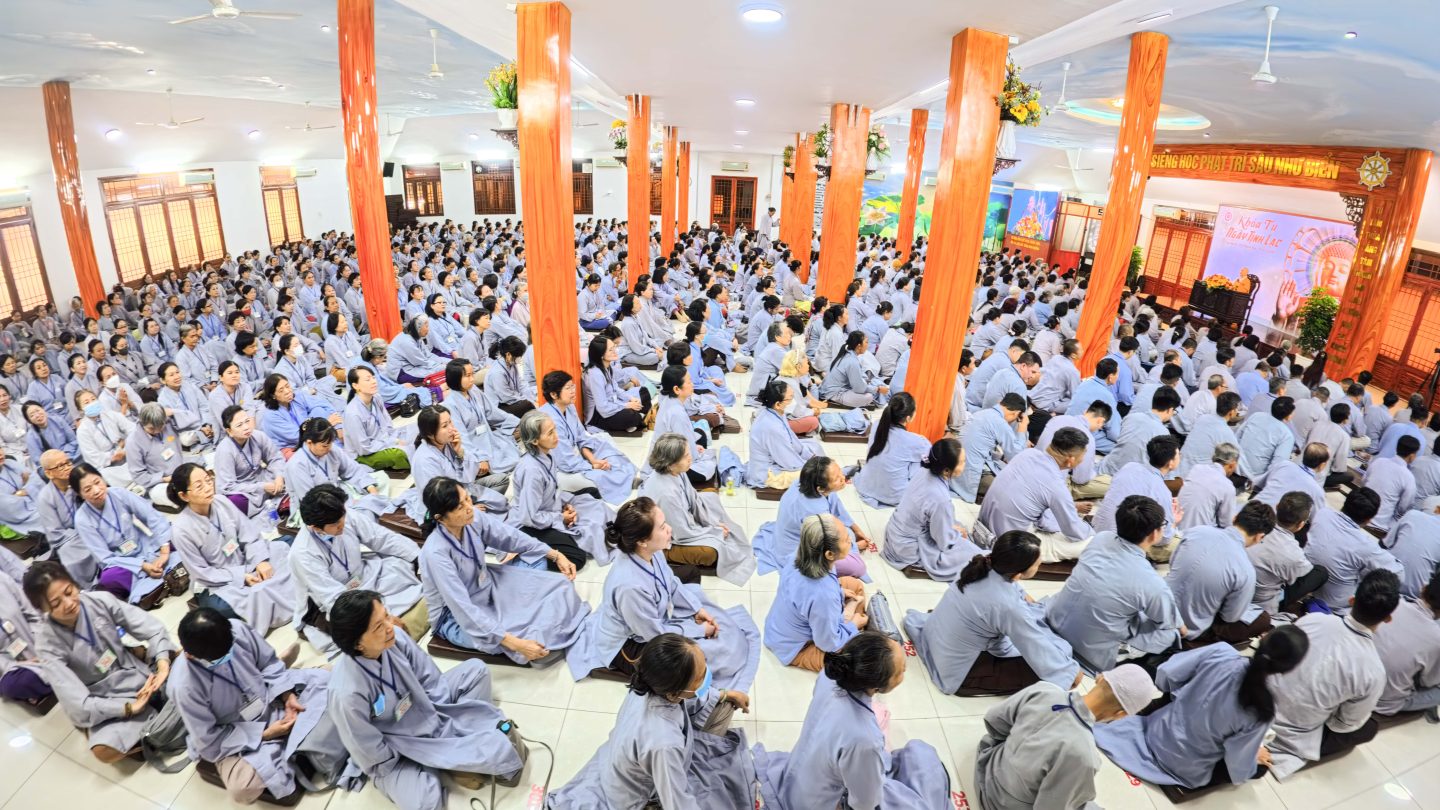 KT 51 (242 of 280)