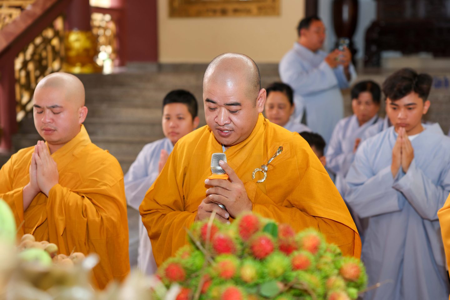 KT 51 (253 of 280)
