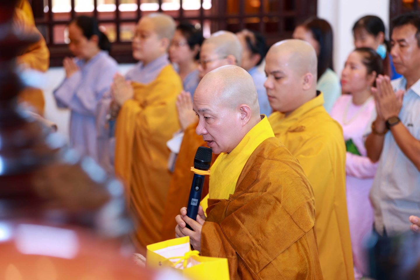 tham truong ha 2026 (4 of 91)