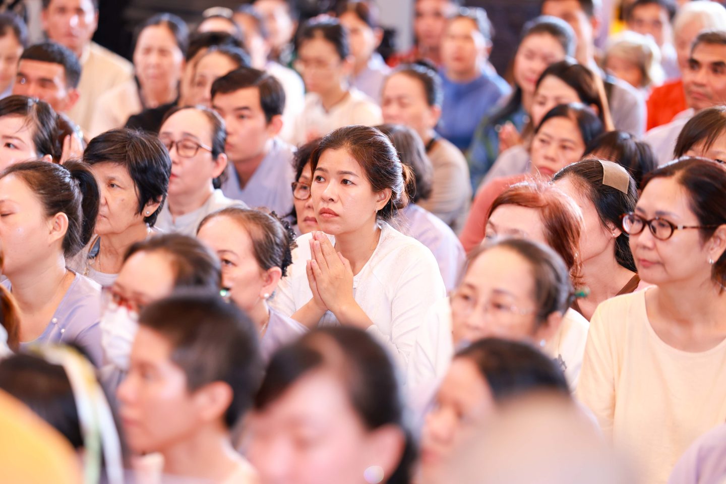 tham truong ha 2026 (8 of 91)