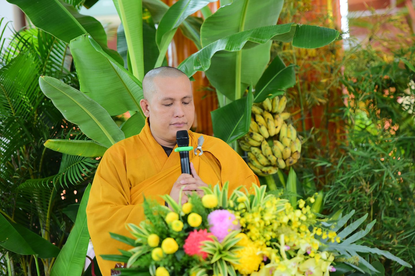 DSC 0465
