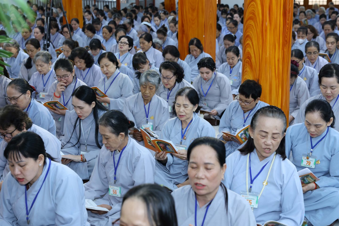 KT 53 (208 of 246)