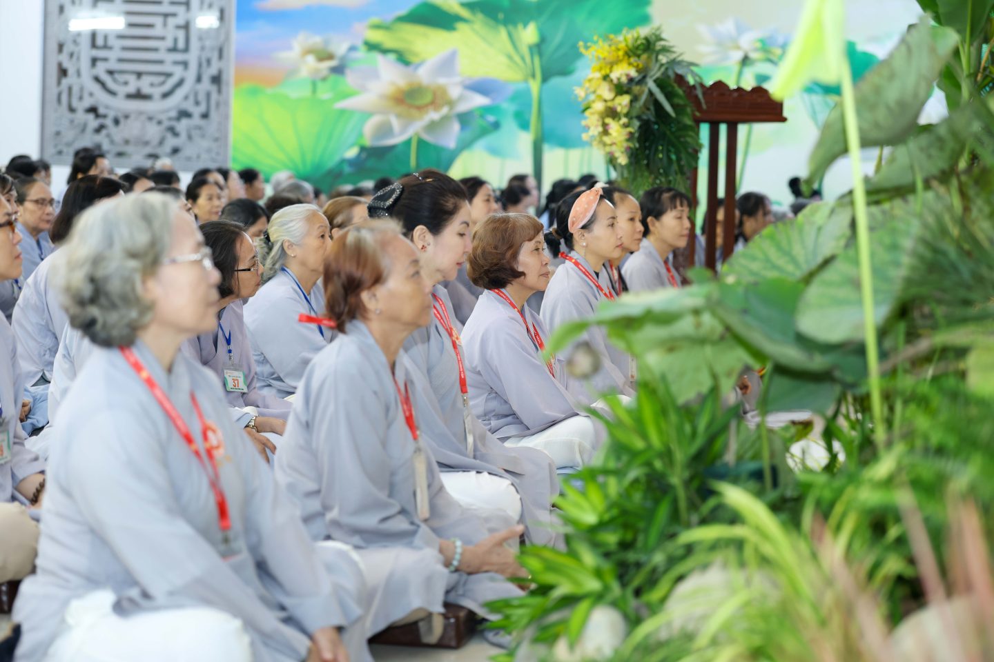 KT 53 (80 of 246)