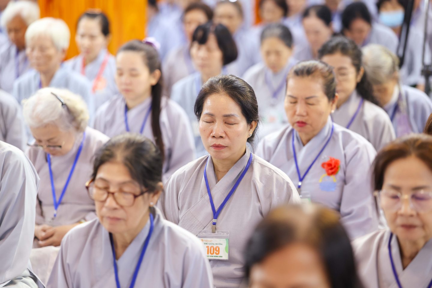 KT 53 (90 of 246)