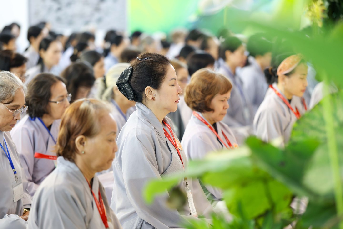 KT 53 (92 of 246)
