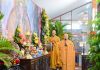 TVTV: Lễ Quy Y Tam Bảo Nhân Mùa Vu Lan – Báo Hiếu PL.2570 – DL.2026 quy y vu lan 2026 (18 of 60)