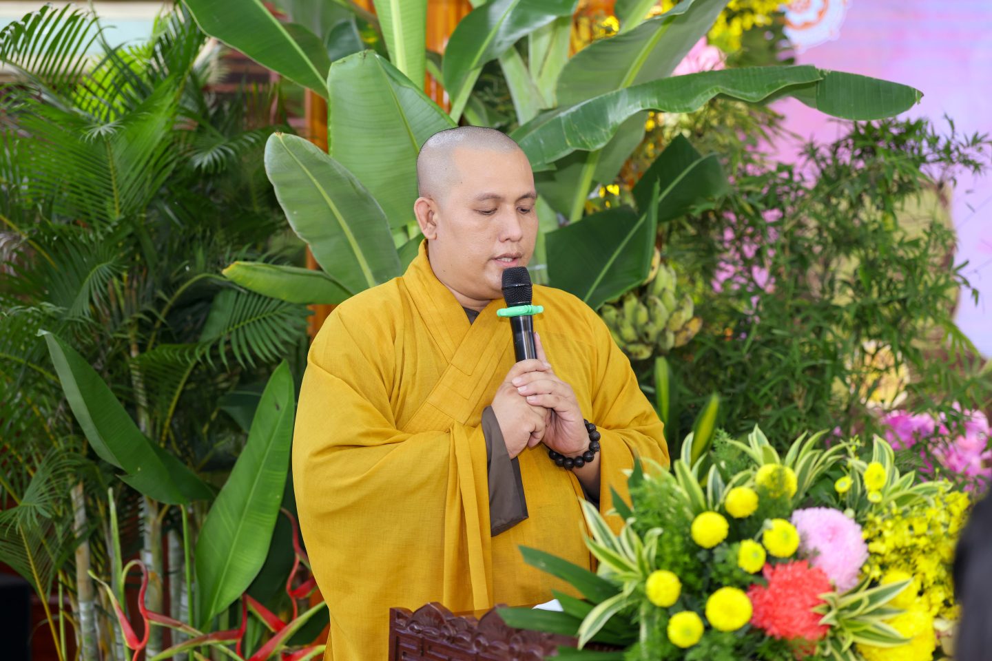 tk thuyet phap vu lan 2026 (3 of 96)